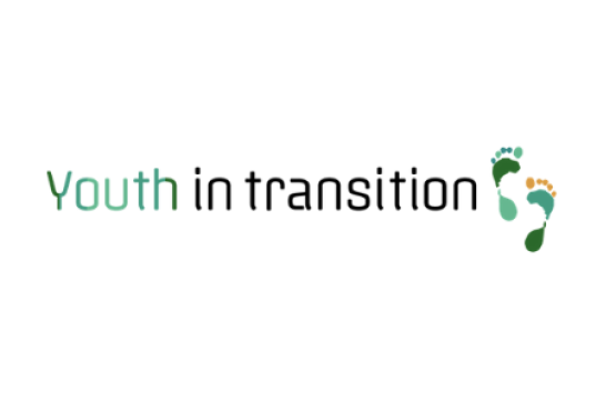 Youth in Transition  -webconference