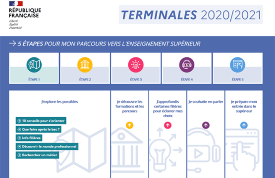 Terminales 2020-2021 website