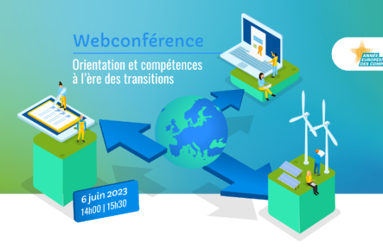 Web conference Guidance and skills in the context of transitions